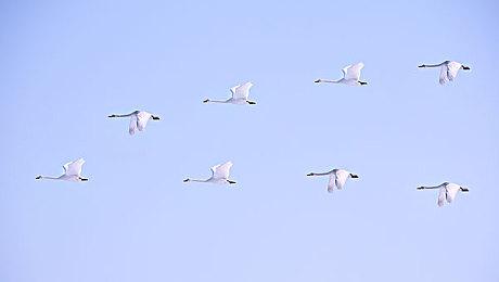 《魔兽世界》新服务器名称确定：吉安娜与死亡猎手